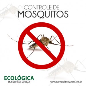 Ecologica_controle-de-mosquito