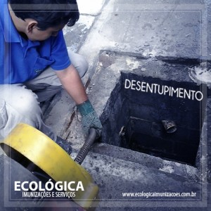 Ecologica_desentupimento