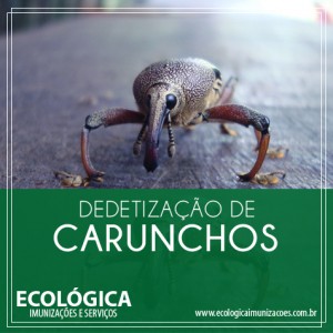 Ecologica-carunchos