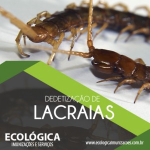 Ecologica_05.06.2017