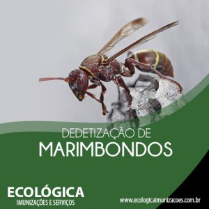 Ecologica_09.06.2017