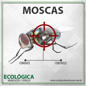 Ecologica_23-junho-2017