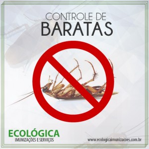 Ecologica-baratas (1)