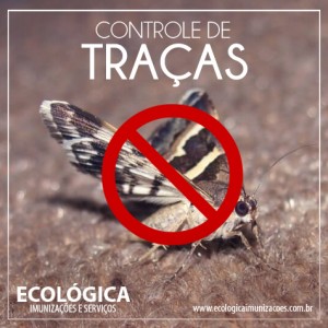 Ecologica-traças